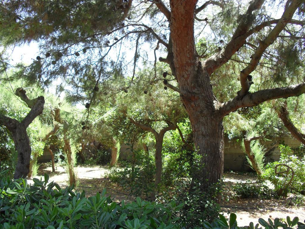 Villa Cino Punta Prosciutto Luaran gambar