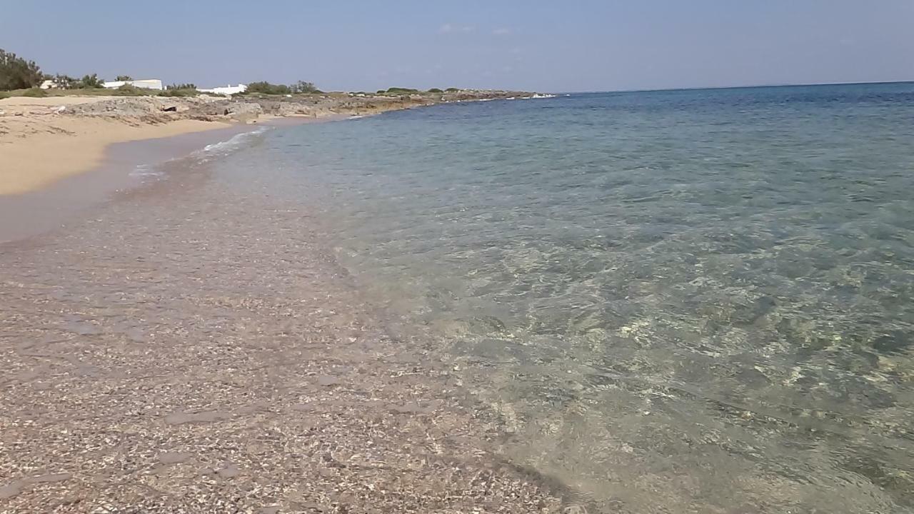 Villa Cino Punta Prosciutto Luaran gambar